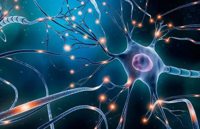 neuron2.jpg